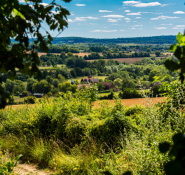 Kent